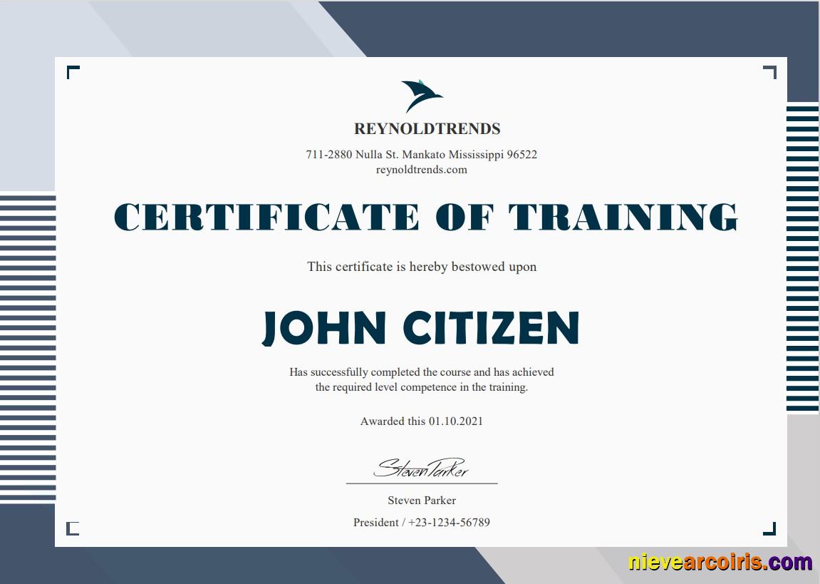 USA Company Training certificate